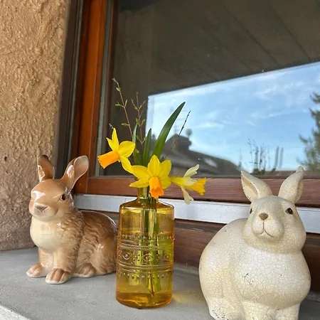 Daire Le Charme Du Gaschney Muhlbach-sur-Munster